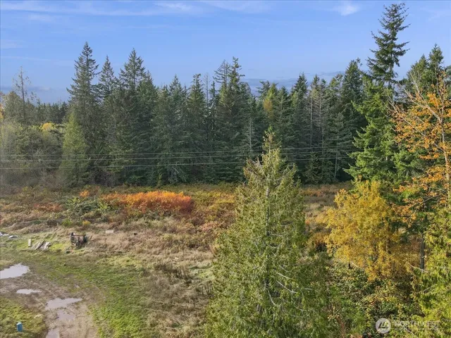 a view of a yard with large trees
