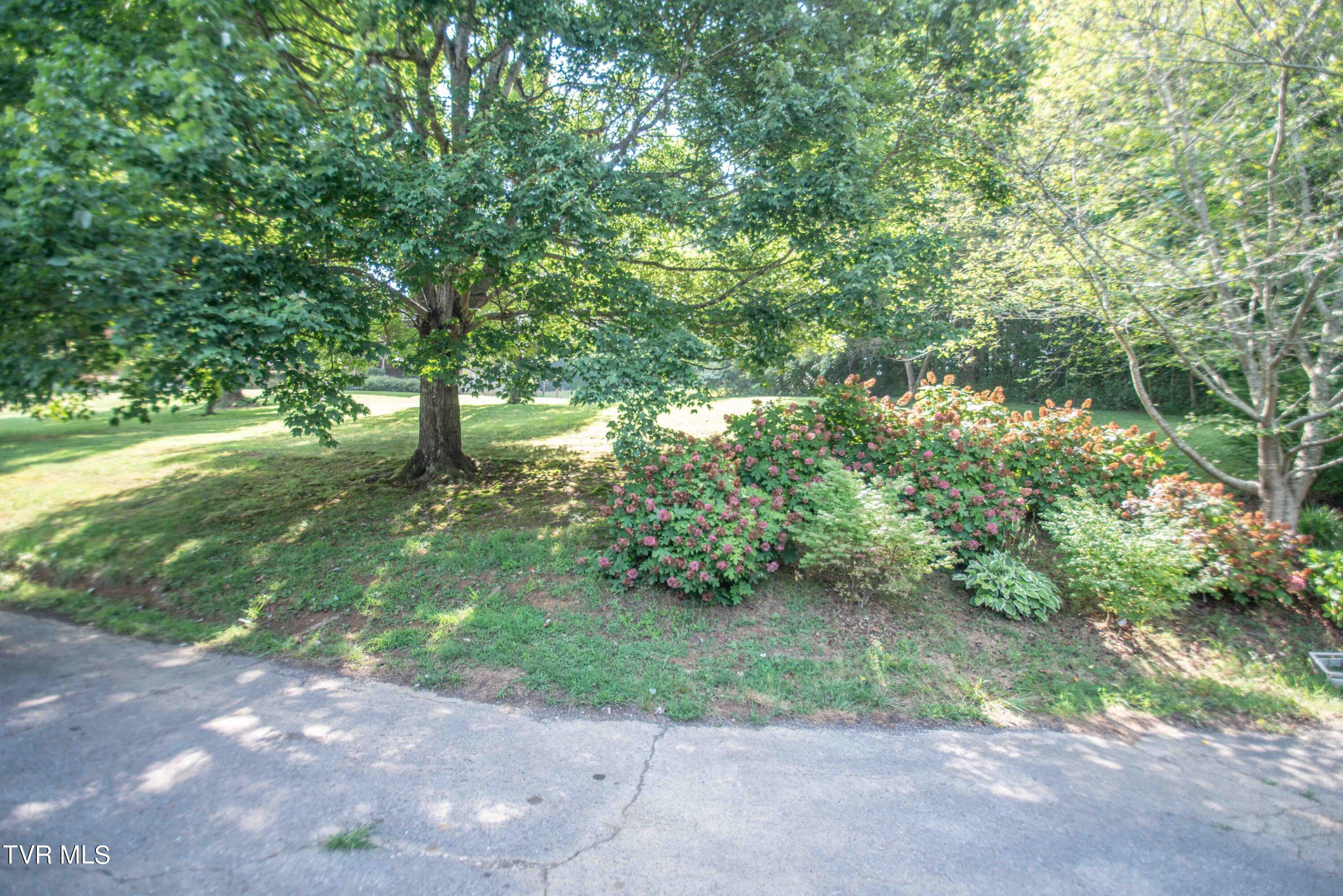 900 Tucker Hollow Road West Fall Branch, TN 37656 - Photo 19 of 22 900 Tucker Hiollow-19