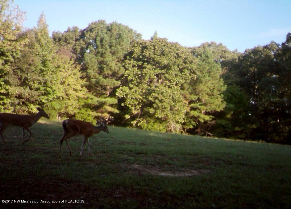 56 Horn Lake Road Nesbit, MS 38651 - Photo 1 of 8 hr