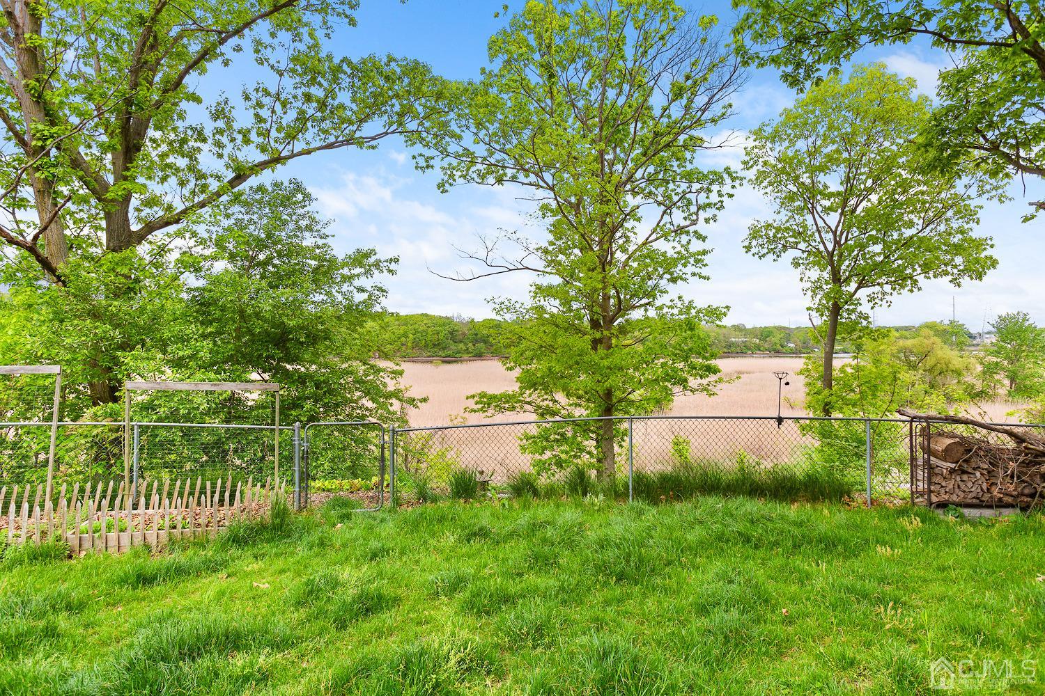 60 Wilcox Road New Brunswick, NJ 08901 - Photo 25 of 25 a view of a garden with a tree