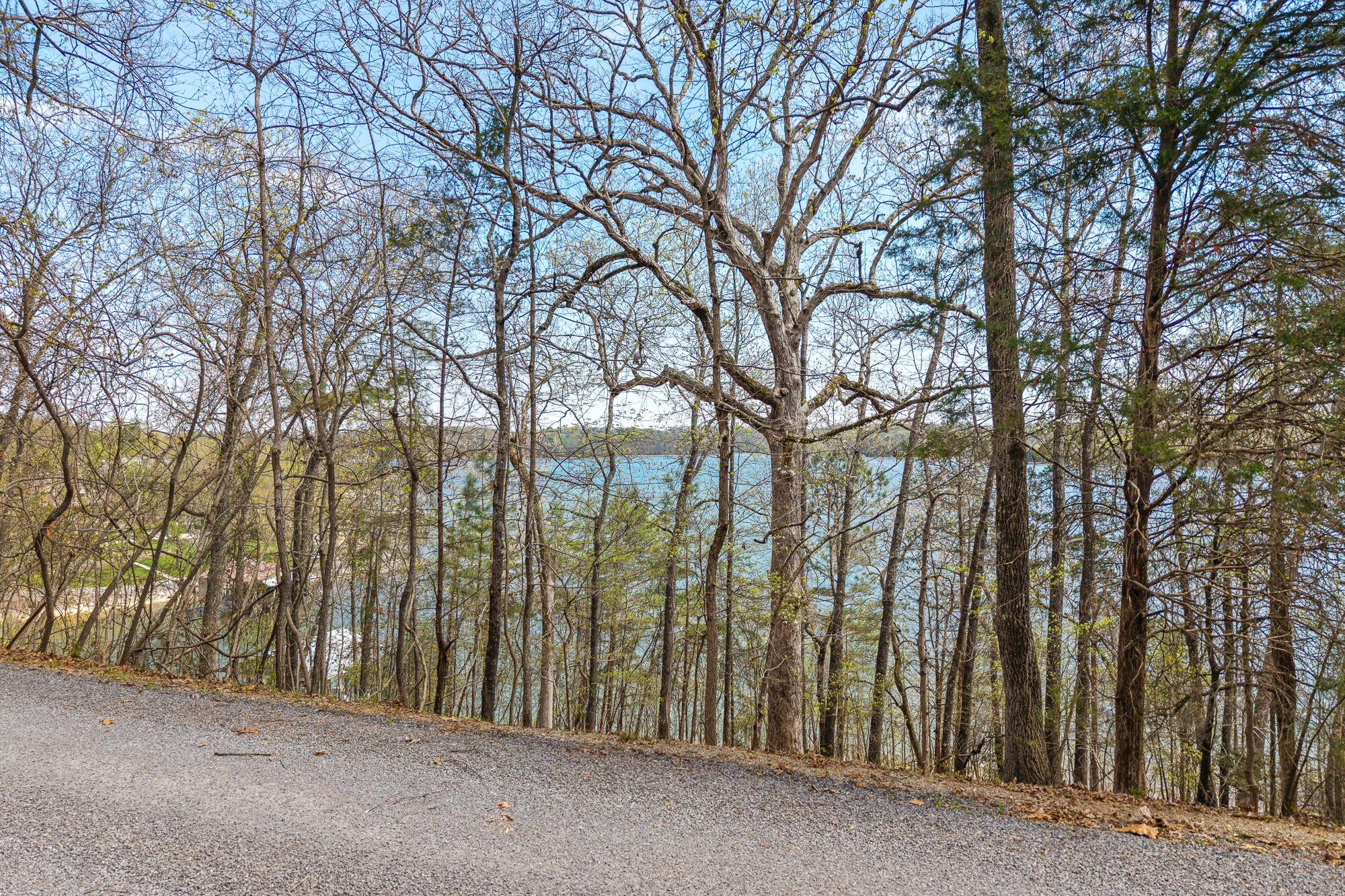 1400 Ware Farms Road Spring City, TN 37381 - Photo 14 of 22