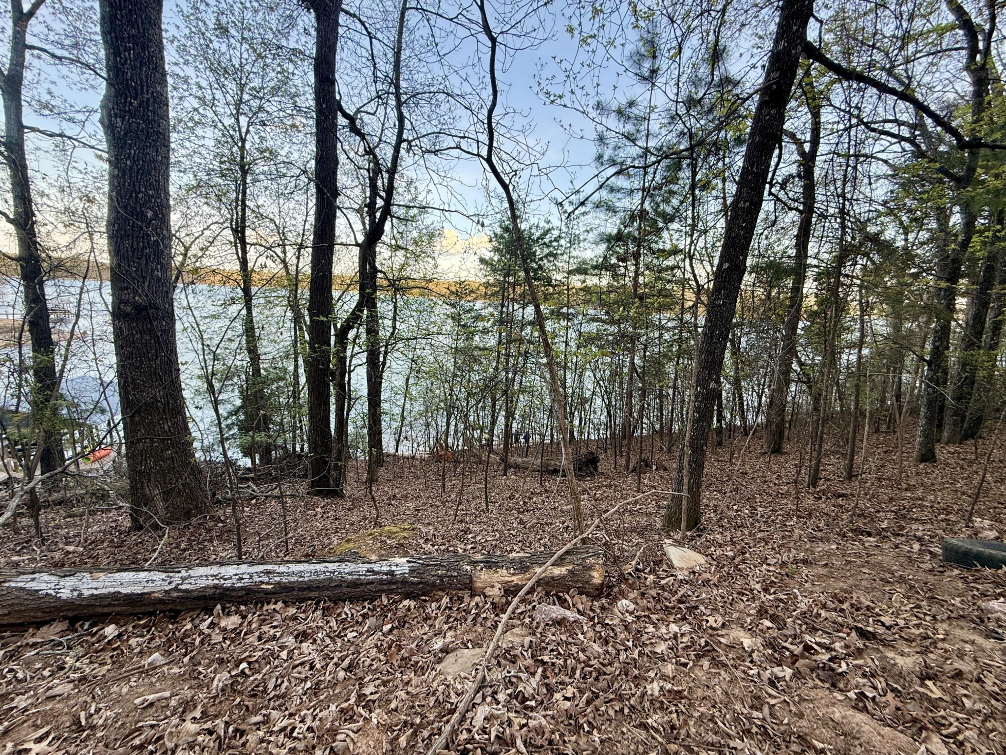 1400 Ware Farms Road Spring City, TN 37381 - Photo 17 of 22