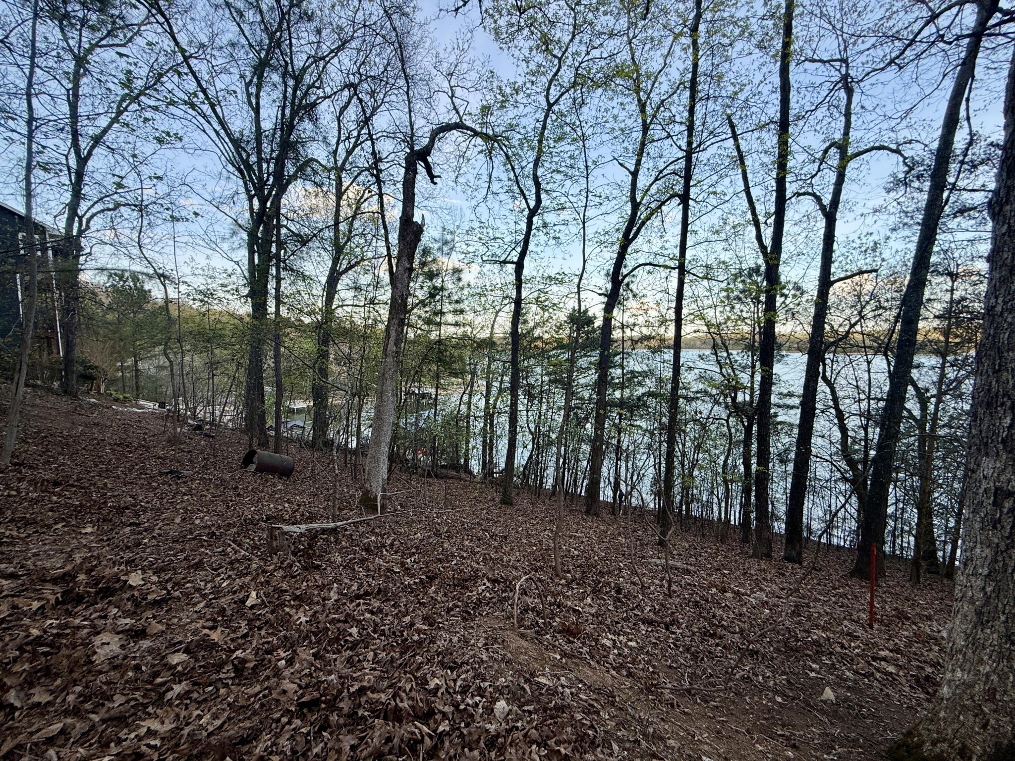 1400 Ware Farms Road Spring City, TN 37381 - Photo 18 of 22