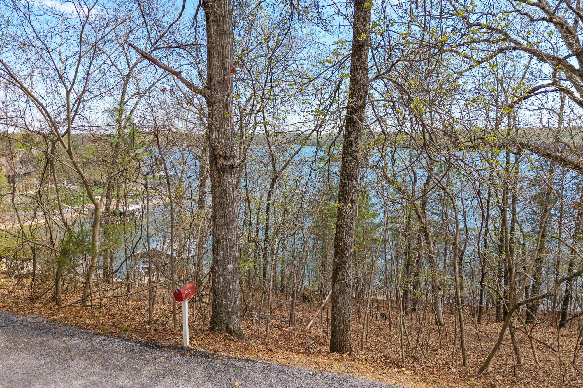 1400 Ware Farms Road Spring City, TN 37381 - Photo 5 of 22