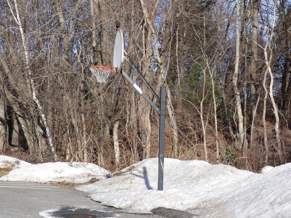 74 Leonard Road, Unit 74 Boxborough, MA 01719 - Photo 25 of 25