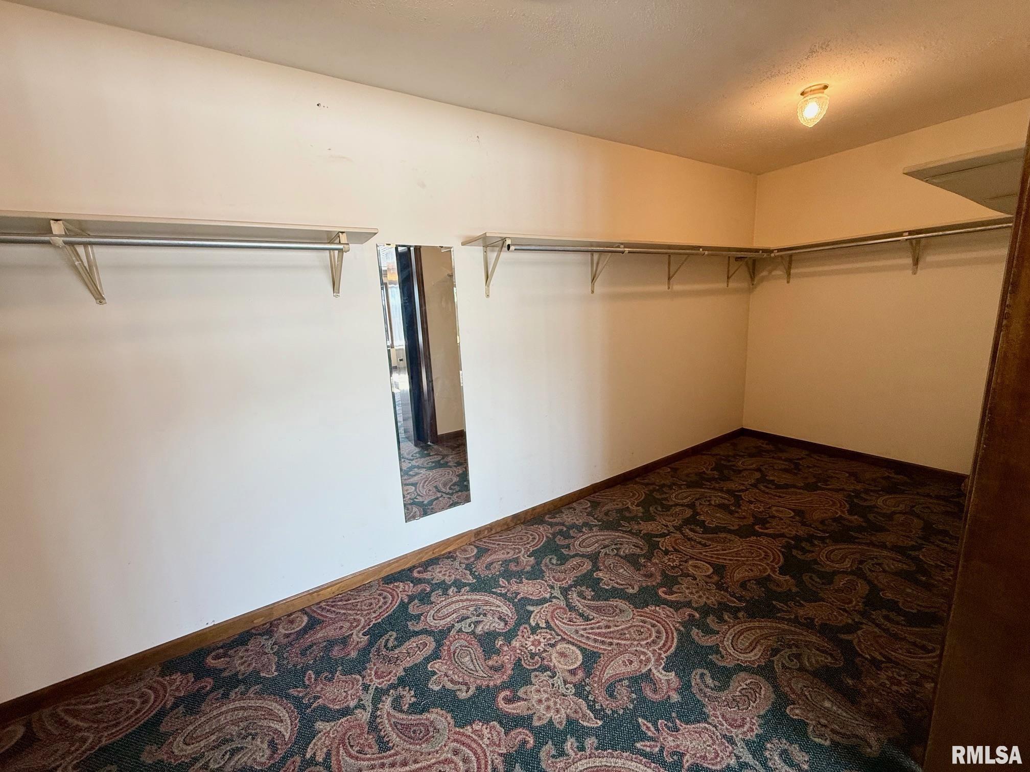 15290 New Salem Bluff Road Petersburg, IL 62675 - Photo 23 of 43