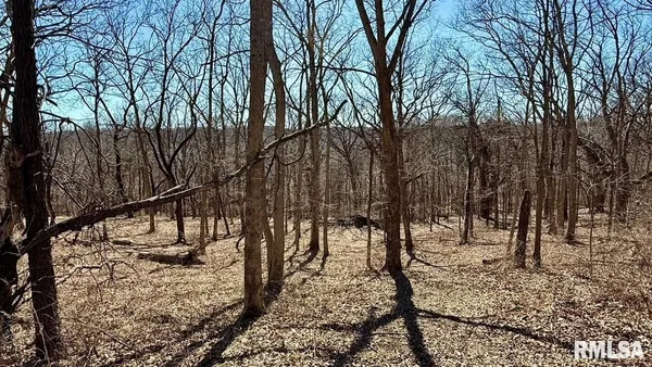 $309,000 | 15290 New Salem Bluff Road, Petersburg, IL 62675