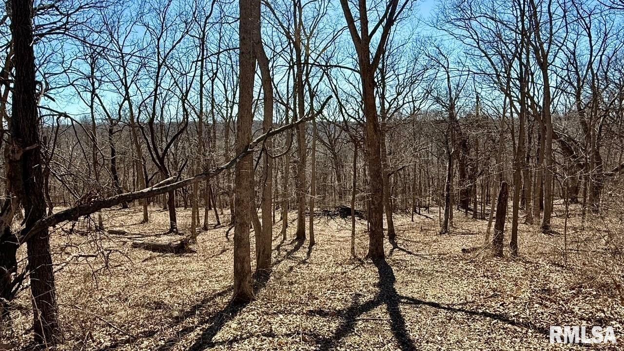 15290 New Salem Bluff Road Petersburg, IL 62675 - Photo 33 of 51