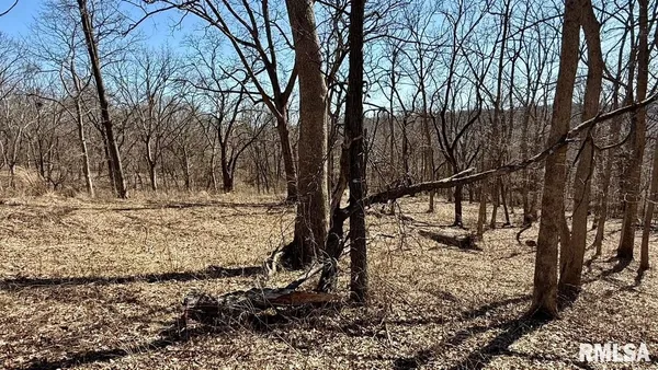 $309,000 | 15290 New Salem Bluff Road, Petersburg, IL 62675