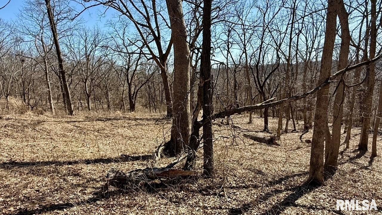 15290 New Salem Bluff Road Petersburg, IL 62675 - Photo 34 of 51