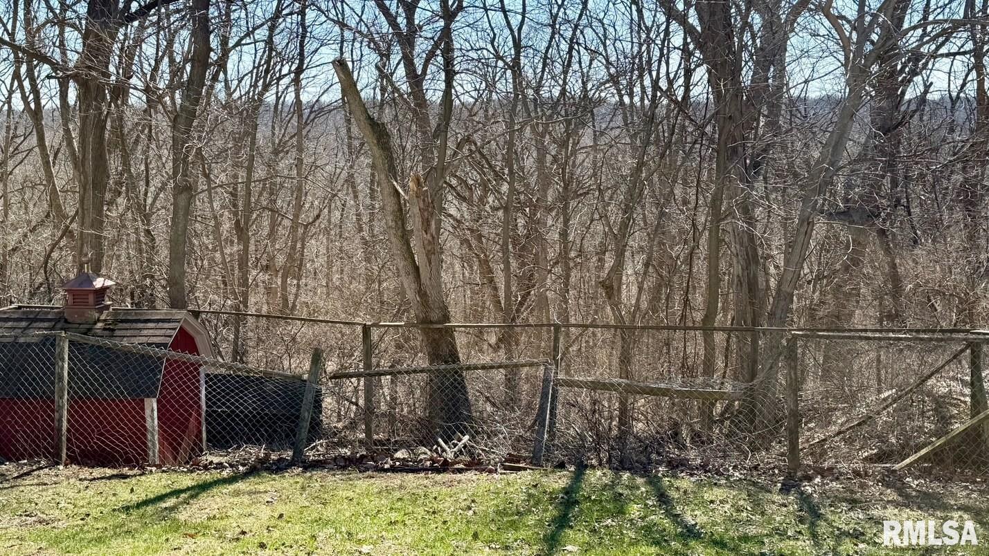 15290 New Salem Bluff Road Petersburg, IL 62675 - Photo 35 of 51