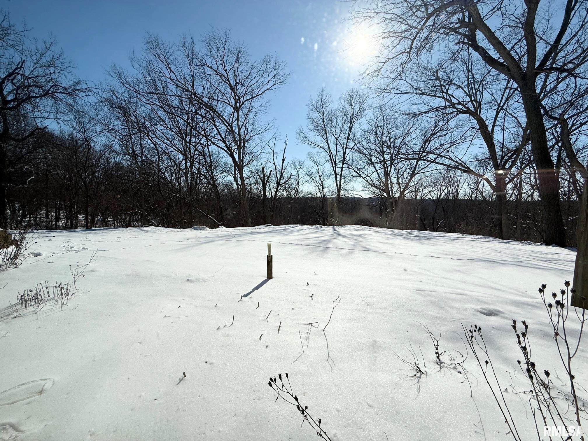 15290 New Salem Bluff Road Petersburg, IL 62675 - Photo 35 of 43