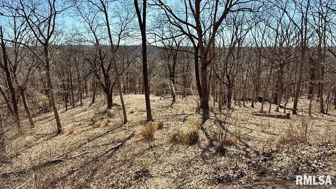 15290 New Salem Bluff Road Petersburg, IL 62675 - Photo 44 of 51