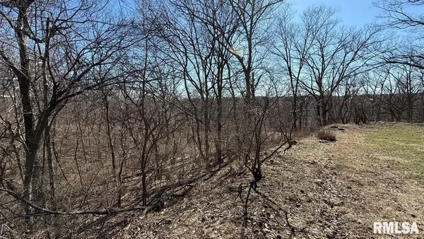 $309,000 | 15290 New Salem Bluff Road, Petersburg, IL 62675