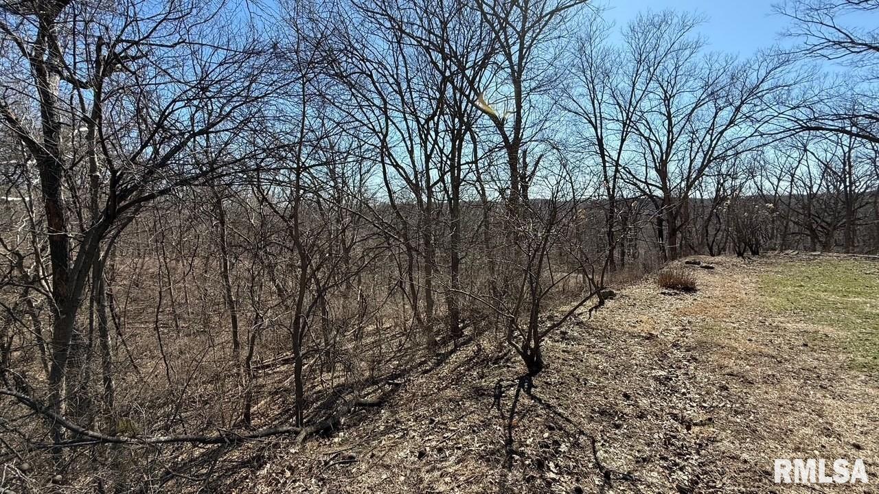 15290 New Salem Bluff Road Petersburg, IL 62675 - Photo 45 of 51