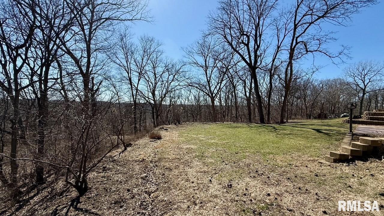 15290 New Salem Bluff Road Petersburg, IL 62675 - Photo 46 of 51