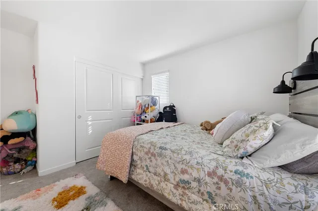 a bedroom with a bed and a closet