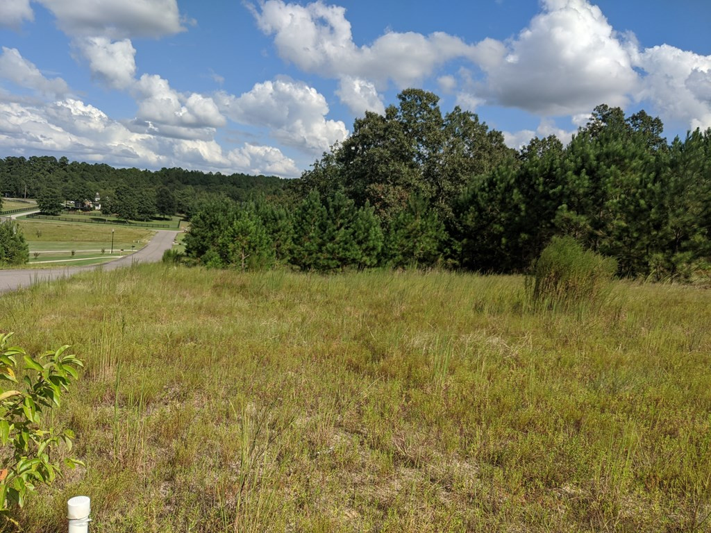 Lot 13 Riding Ridge Court Aiken, SC 29801 - Photo 2 of 4