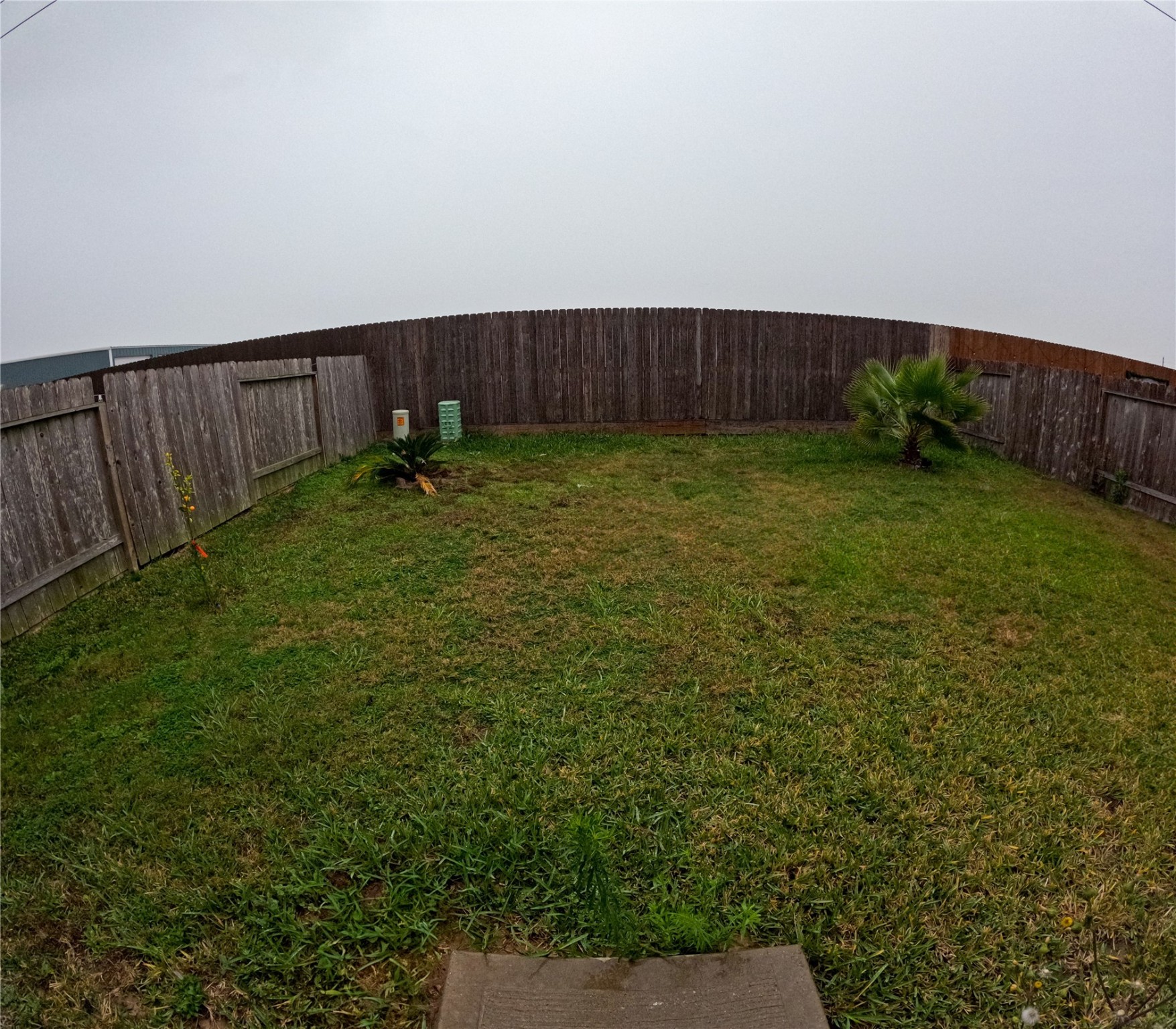 5515 Savanna Pasture Road Katy, TX 77493 - Photo 17 of 17 a view of a backyard