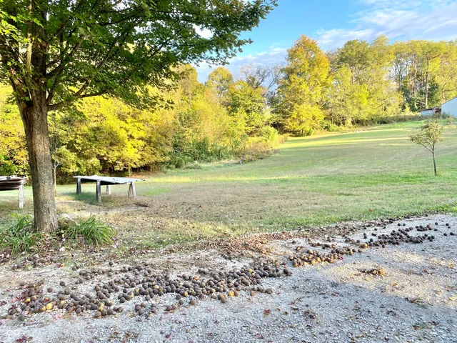 $300,000 | 6727 Highway 46, Bowling Green, IN 47833