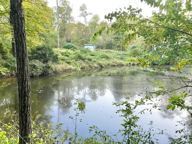 $300,000 | 6727 Highway 46, Bowling Green, IN 47833