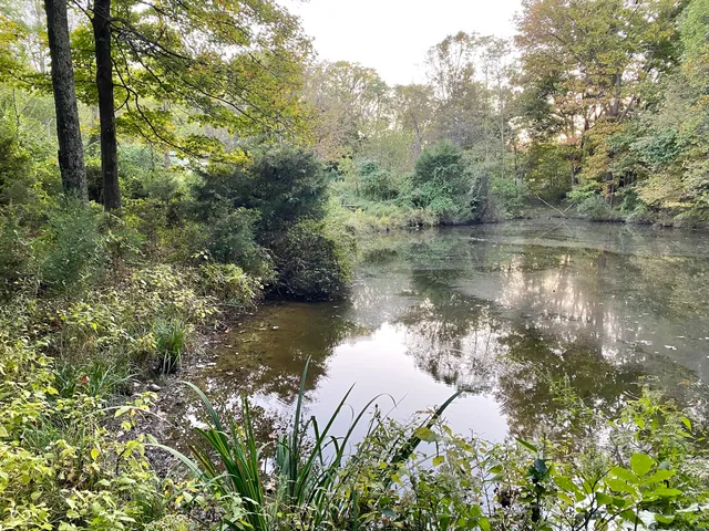 $300,000 | 6727 Highway 46, Bowling Green, IN 47833