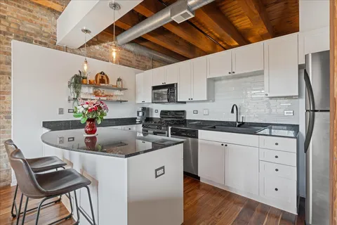 $465,000 | 1735 West Diversey Parkway, Unit 203, Chicago, IL 60614