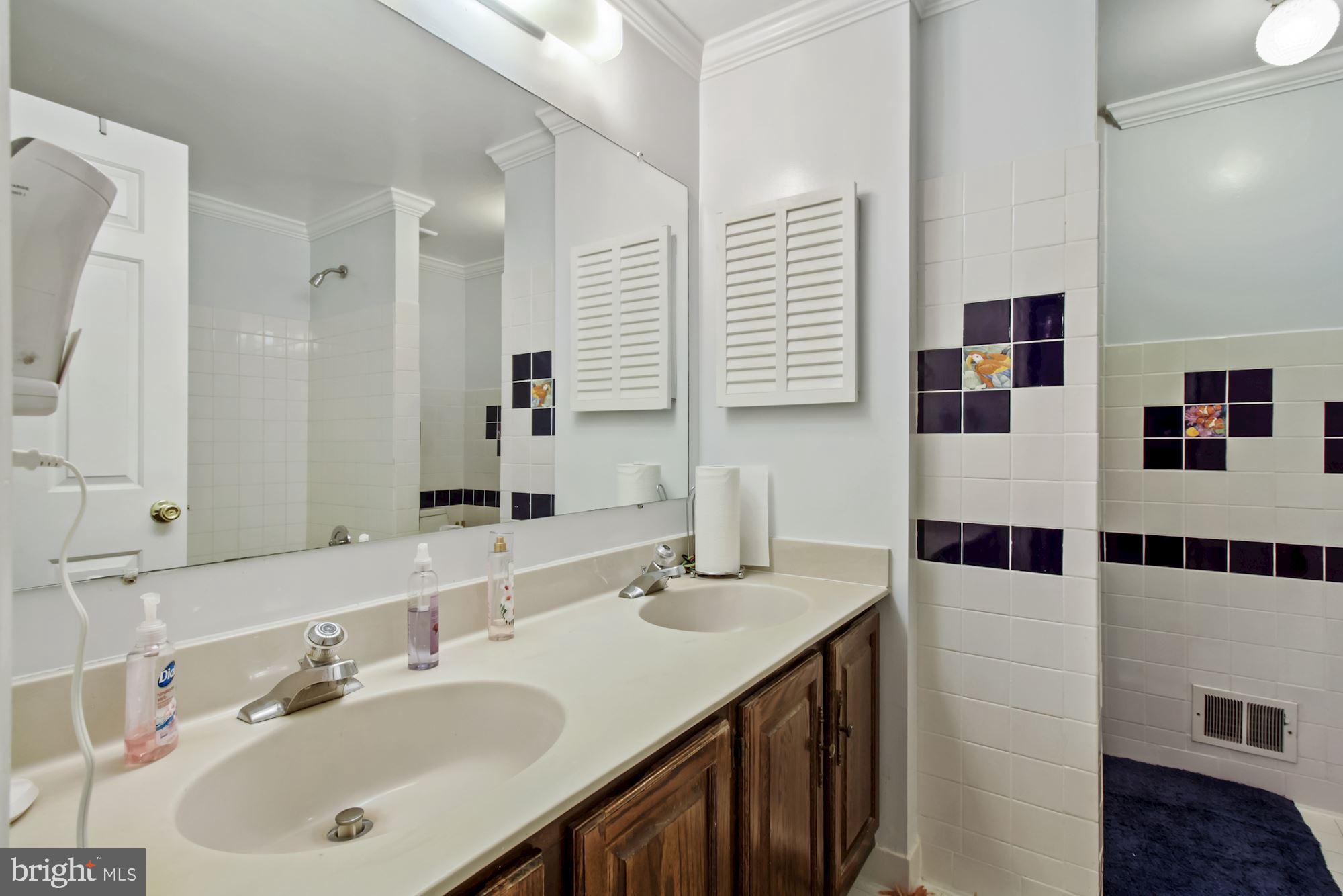 4247 Stafford Road Olney, MD 20832 - Photo 35 of 47 Primary Bathroom