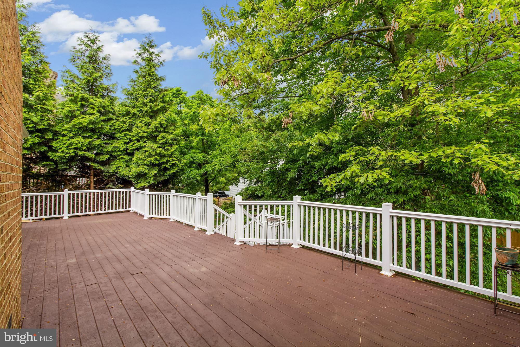 4247 Stafford Road Olney, MD 20832 - Photo 44 of 47 Treed View