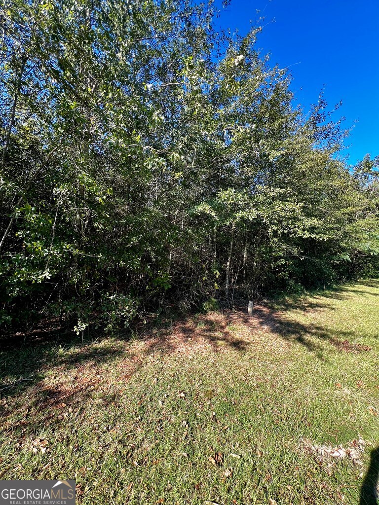 0 Brookhaven Drive Dublin, GA 31021 - Photo 2 of 3