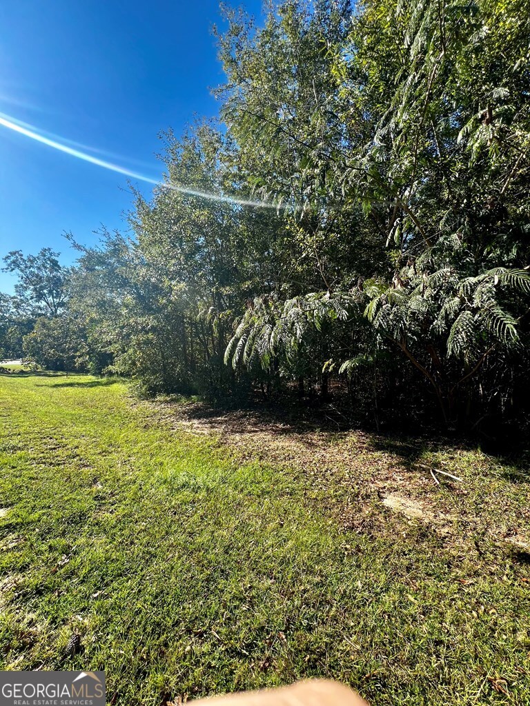 0 Brookhaven Drive Dublin, GA 31021 - Photo 3 of 3