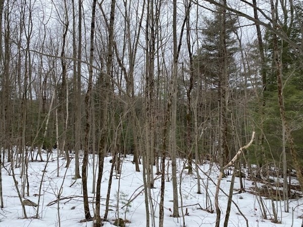 18-1 Blodgett Road Holland, MA 01521 - Photo 1 of 3