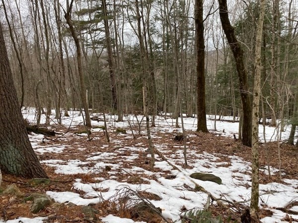 18-1 Blodgett Road Holland, MA 01521 - Photo 3 of 3