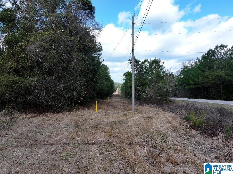 0 North University Boulevard Mobile, AL 36613 - Photo 3 of 11