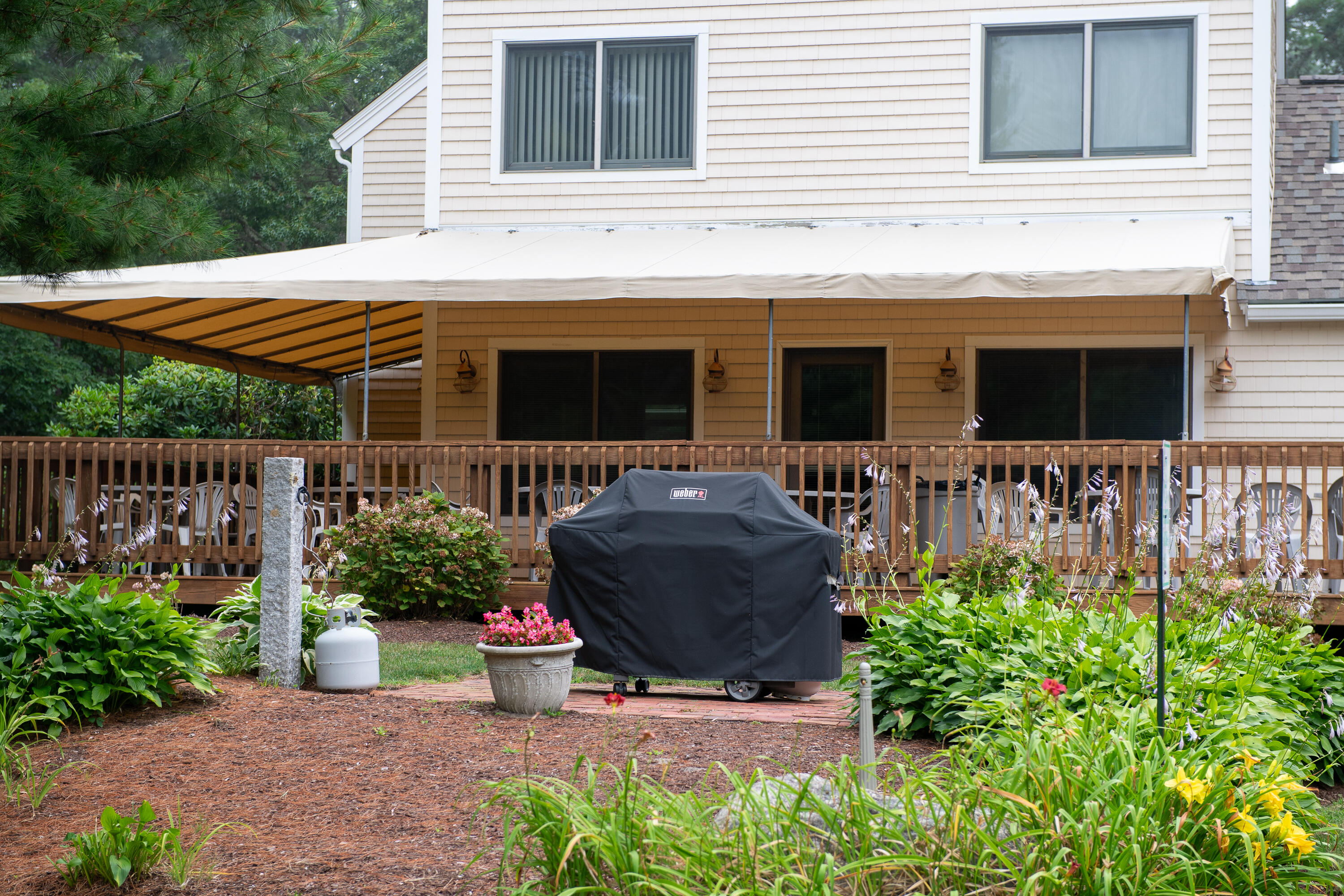 1 Shellback Way, Unit A1 Mashpee, MA 02649 - Photo 39 of 42 a front view of a house with potted plants