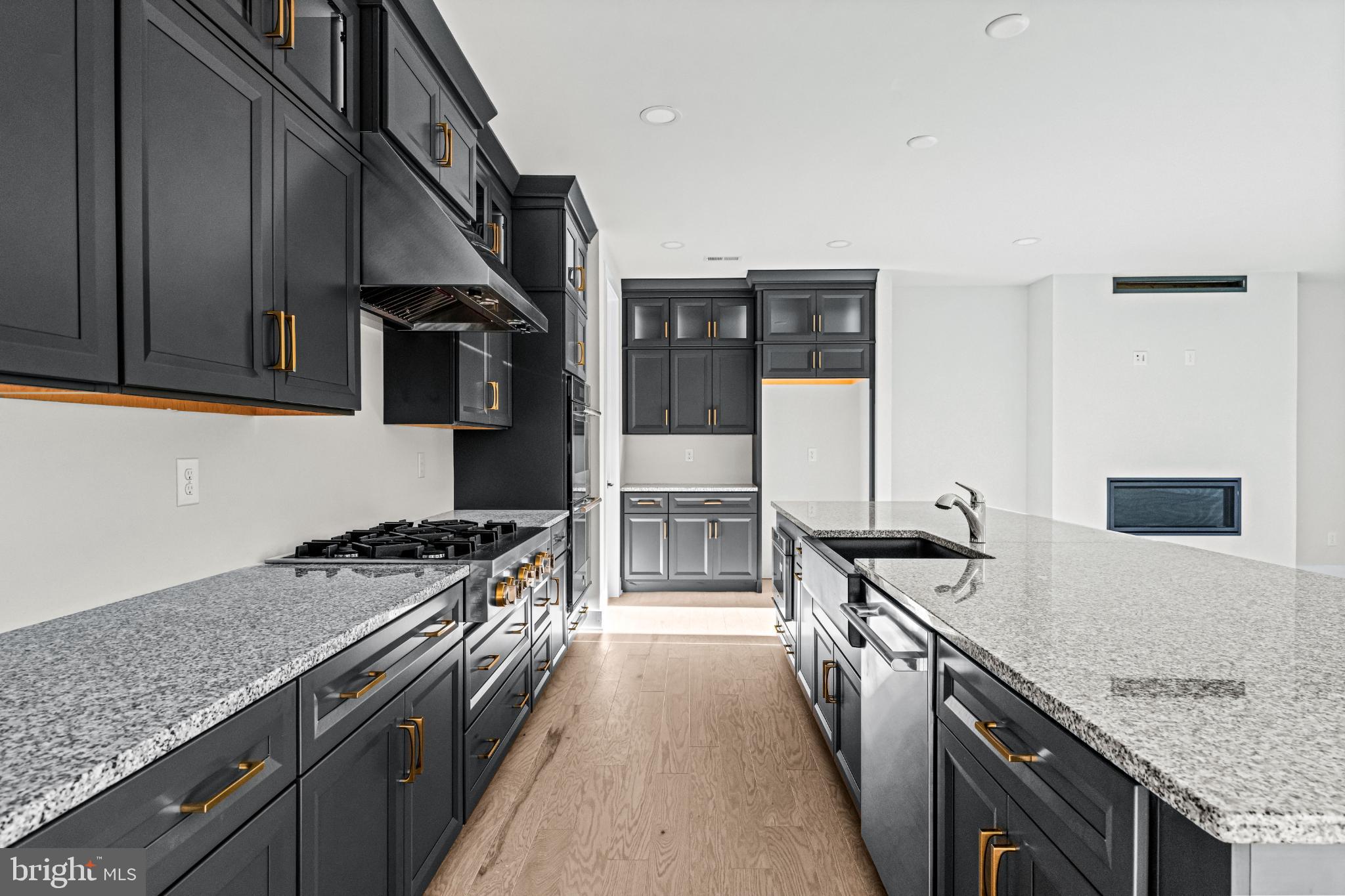 133 Alroy Road Malvern, PA 19355 - Photo 13 of 48 Sleek modern kitchen with elegant finishes.