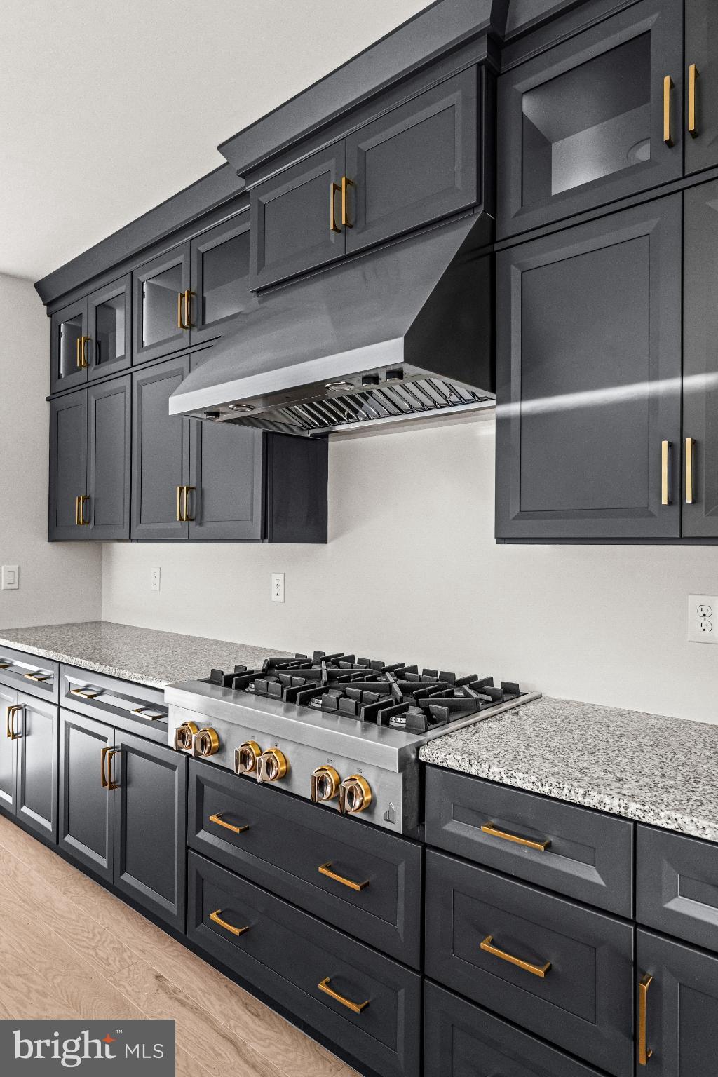 133 Alroy Road Malvern, PA 19355 - Photo 15 of 48 Sleek modern kitchen with elegant finishes.