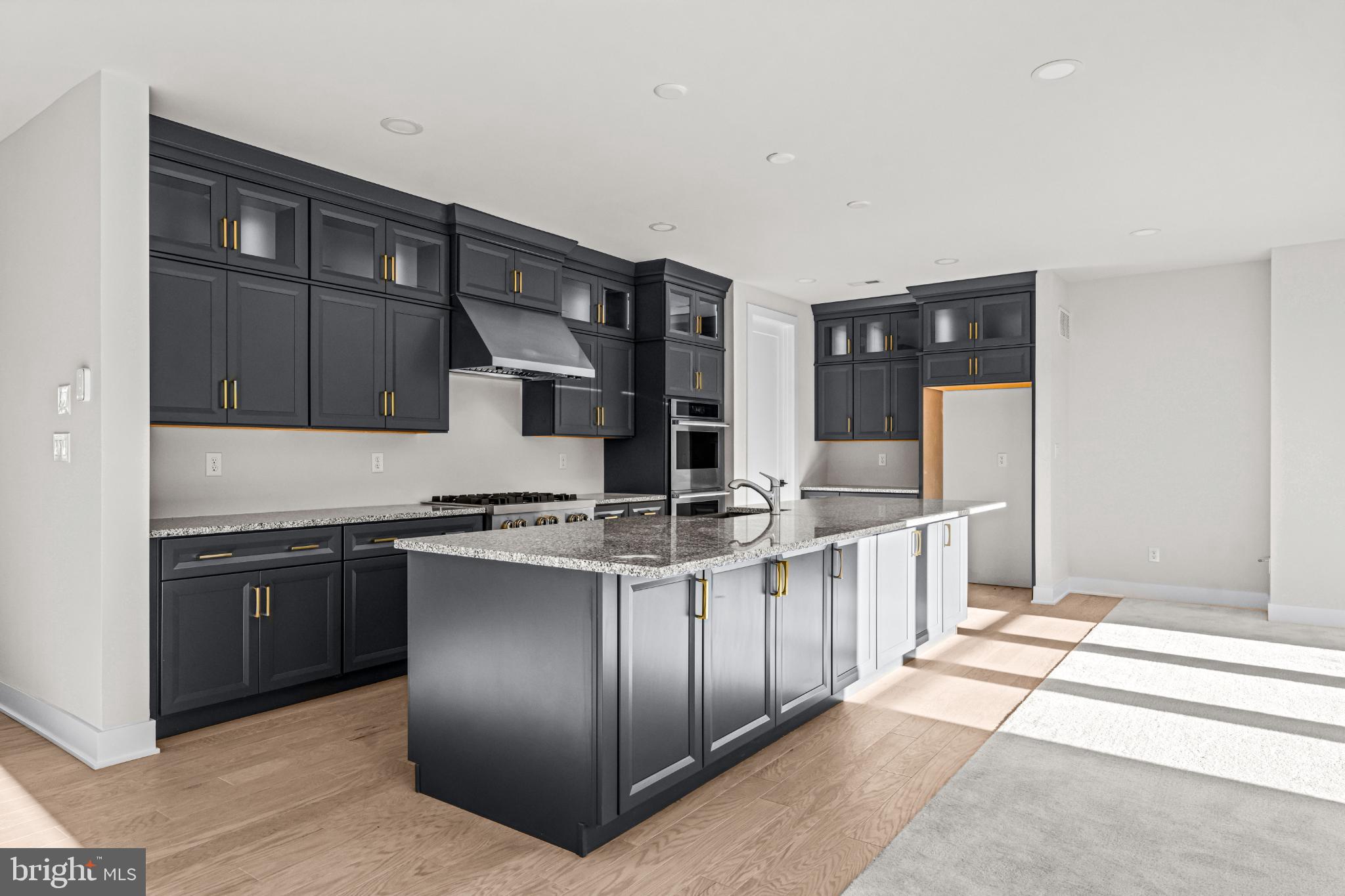 133 Alroy Road Malvern, PA 19355 - Photo 6 of 48 Sleek modern kitchen with elegant finishes.