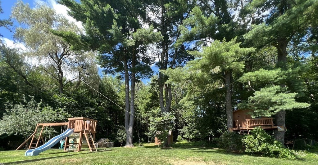 26 Alta Road Sudbury, MA 01776 - Photo 32 of 37 a view of a yard with plants and trees