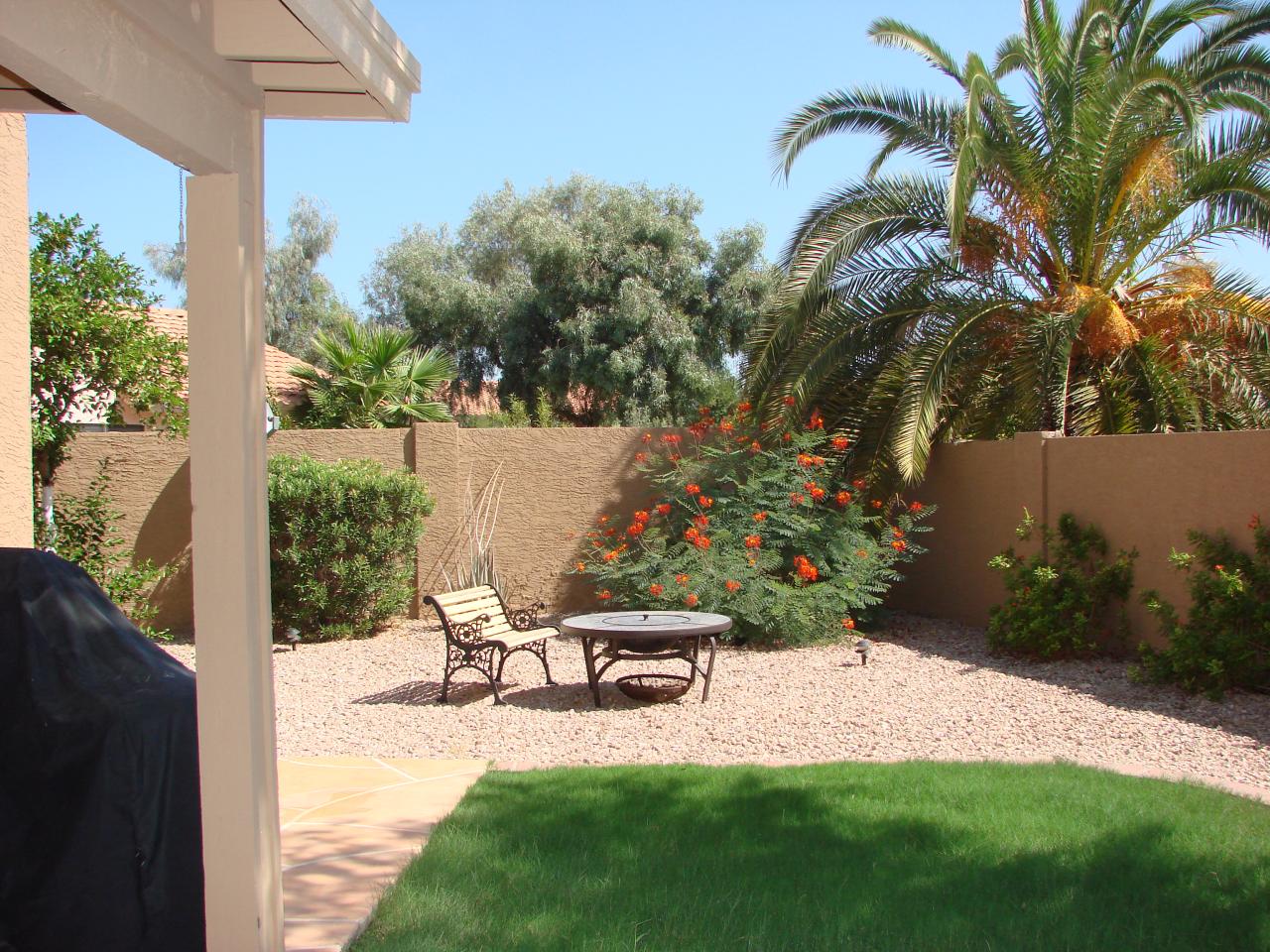 3312 East Desert Trumpet Road Phoenix, AZ 85044 - Photo 3 of 5 back yard