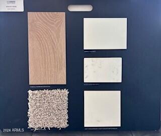 24217 West Atlantis Way Buckeye, AZ 85326 - Photo 2 of 3 a picture of door