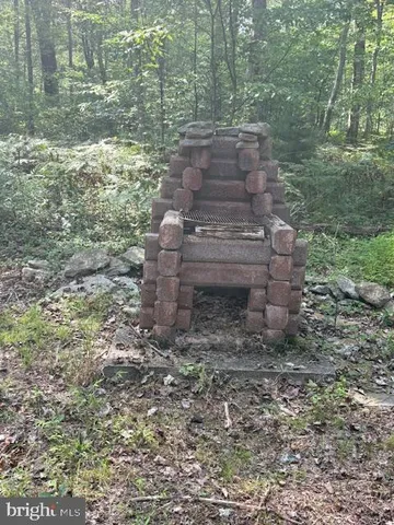 a view of a yard with plants and large trees