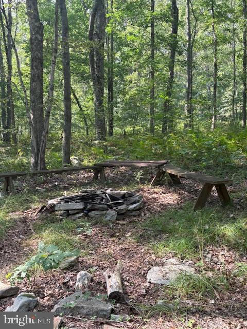 186 Little Wolf Road Bellefonte, PA 16823 - Photo 7 of 21 a view of a forest with a tree