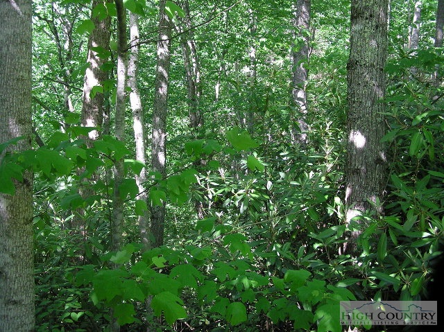Lot 25 Rivers Edge Drive Boone, NC 28607 - Photo 2 of 2 Gallery Image 2