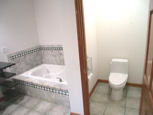 1123 Locust Bottom Road Eagle Rock, VA 24085 - Photo 14 of 53 Master Bath toilet closet