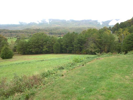 1123 Locust Bottom Road Eagle Rock, VA 24085 - Photo 22 of 53 Right Rear view