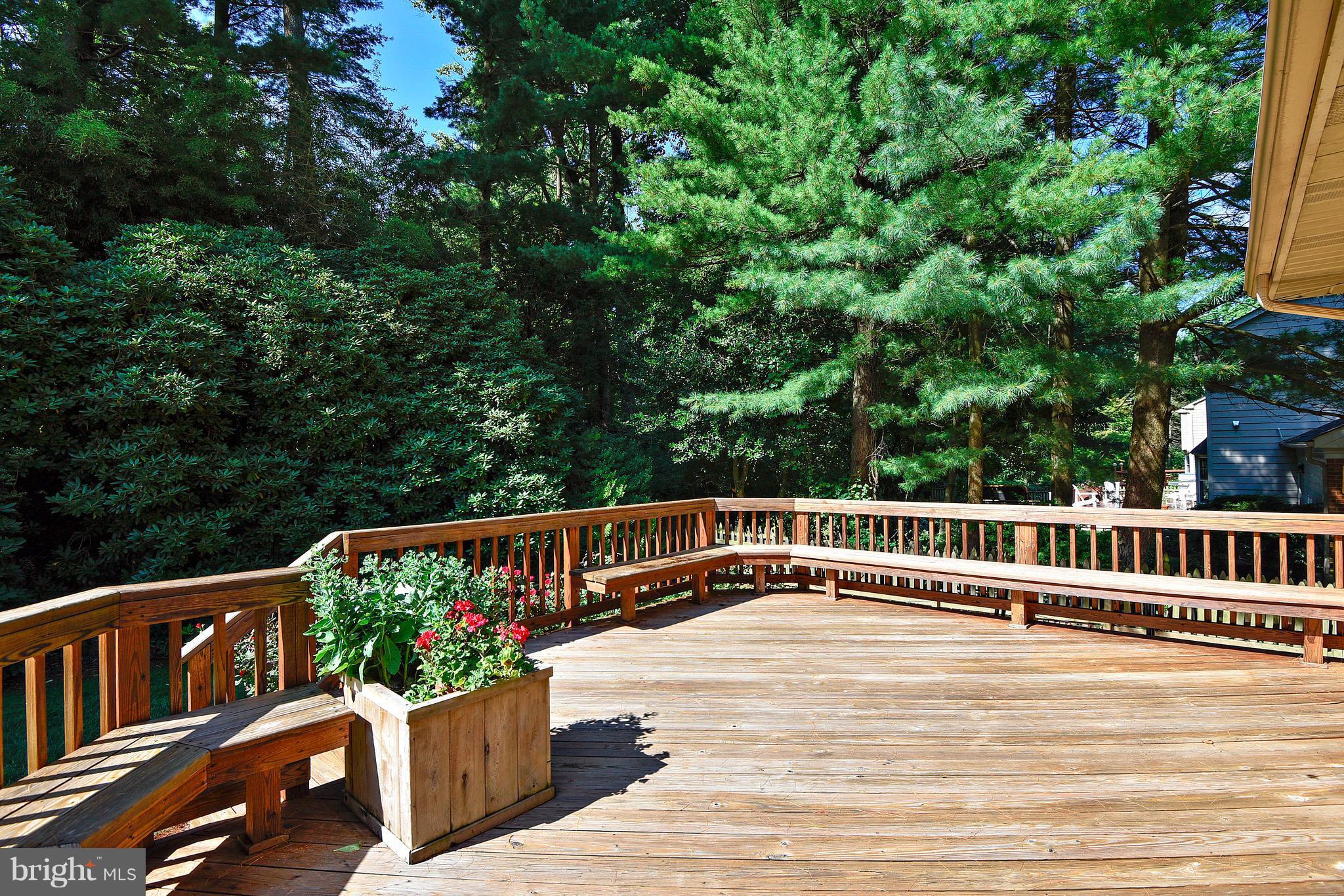 103 Charlesbrooke Road Baltimore, MD 21212 - Photo 11 of 30 Deck