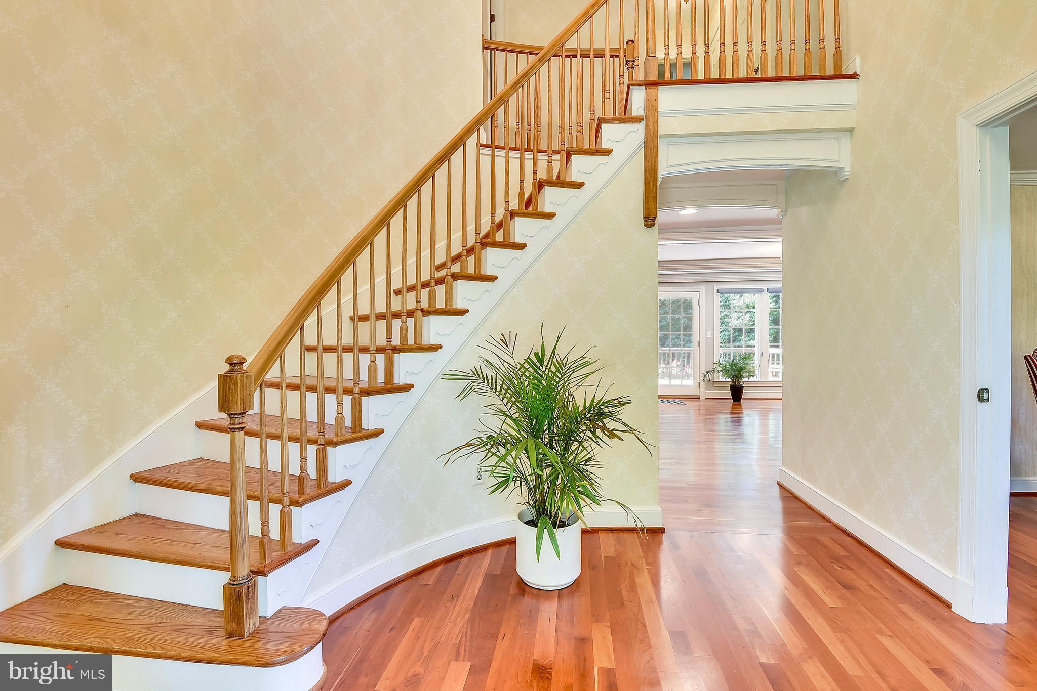 103 Charlesbrooke Road Baltimore, MD 21212 - Photo 6 of 30 Foyer