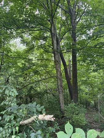 1130 Bishop Lane Mill Spring, NC 28756 - Photo 2 of 3 a backyard of a house with lots of green space and a fountain