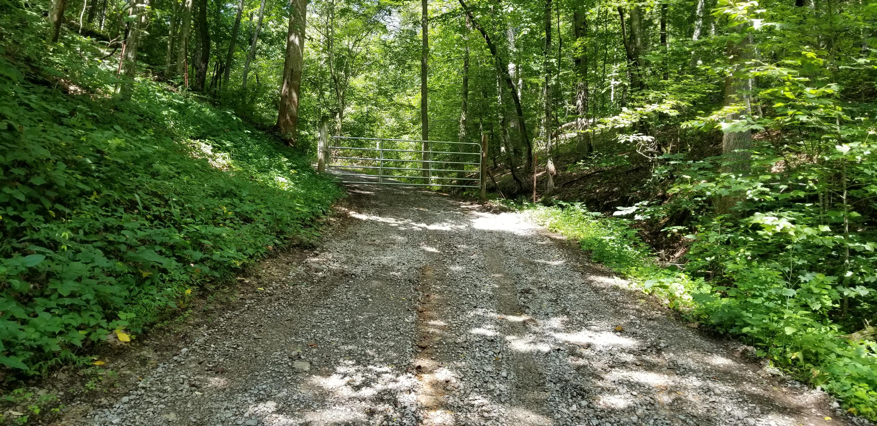 724 Widner Road New Tazewell, TN 37825 - Photo 2 of 36 154552